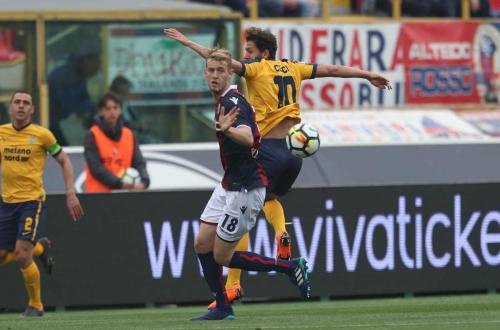 BOLOGNA-VERONA 15-04-2018 . ALESSIO CERCI. SILPRESS/ALBERTO MARIANI