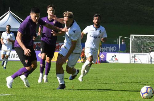 Amichevole Fiorentina-Verona, Crescenzi e Diks