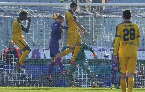 FIORENTINA-VERONA 28-01-18. IL GOL DI TESTA DI JAGOS VUKOVIC  .SILPRESS